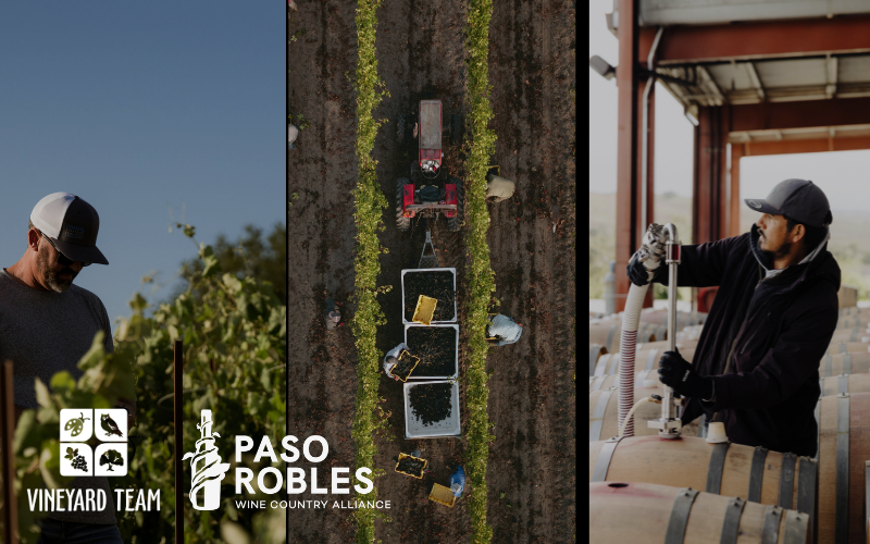 2026 Industry Update: Grape Markets, Grower Resources & What's Ahead